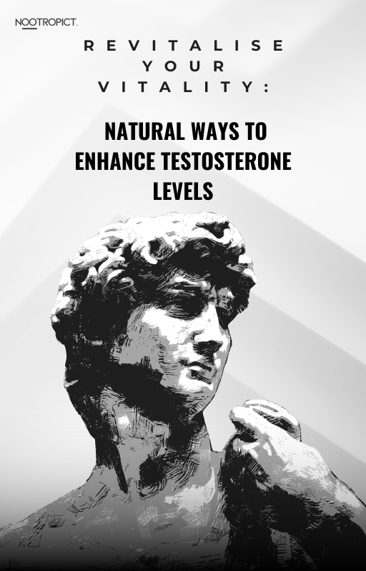 Revitalise Your Vitality: Natural Ways to Enhance Testosterone Levels - eBook